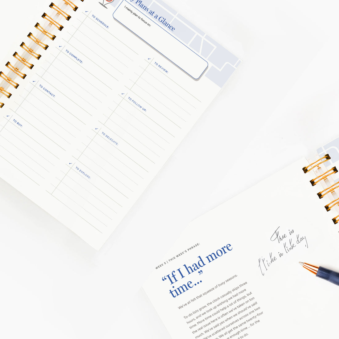 Priority Guide® Journey to Detoxing Your Mindset