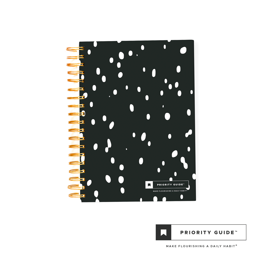 Priority Guide Quarterly planner